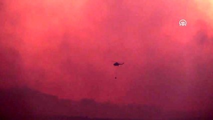 Eceabat'ta orman yangını (6) - Havadan söndürme çalışması - ÇANAKKALE