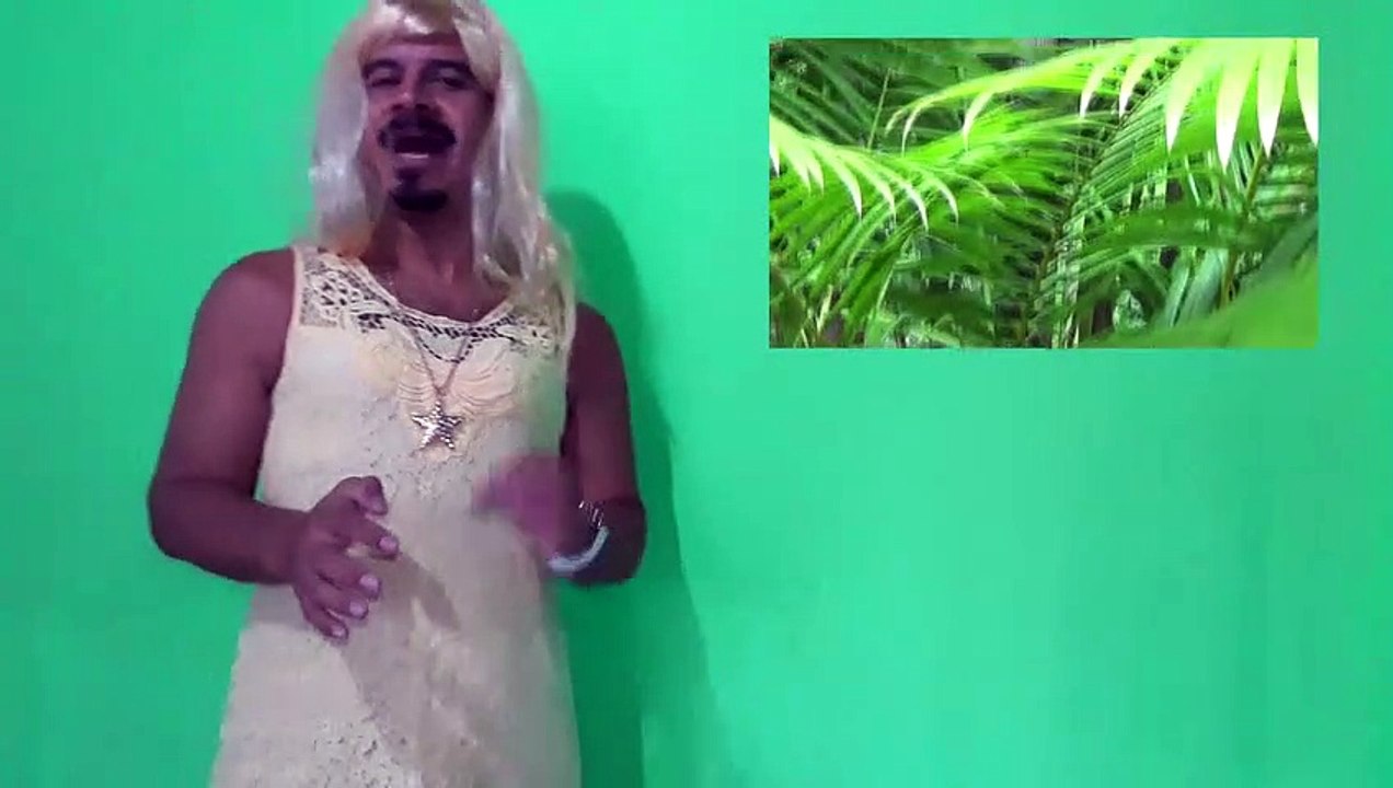 Tophorme - Açaí 3