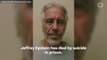 Jeffrey Epstein Died By Alleged Suicide In Jail
