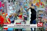 Trujillo: detienen a delincuentes que atacaban a embarazadas y ancianos