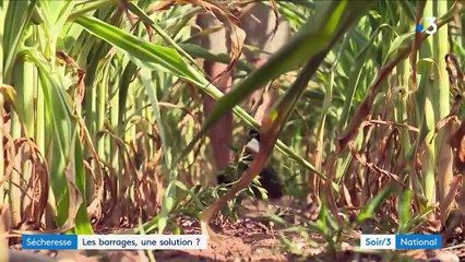 Les barrages, une vraie réponse à la sécheresse ?