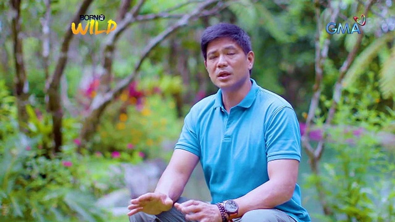 Born to Be Wild: Pythons released back into the wild