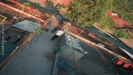 Barınağa giren hırsızlar pitbull cinsi köpekleri çalıp kaçtı