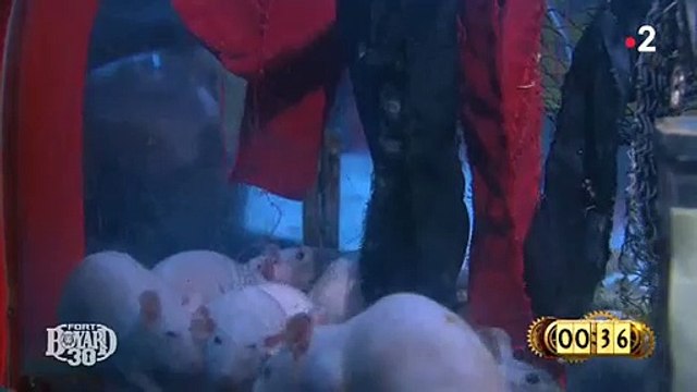 L'acteur Laurent Kerusoré pris de panique face à des rats lors d'une épreuve dans Fort Boyard sur France 2 - VIDEO