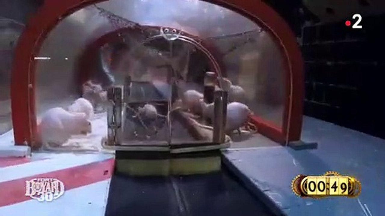 L'acteur Laurent Kerusoré pris de panique face à des rats lors d'une épreuve dans "Fort Boyard" sur France 2