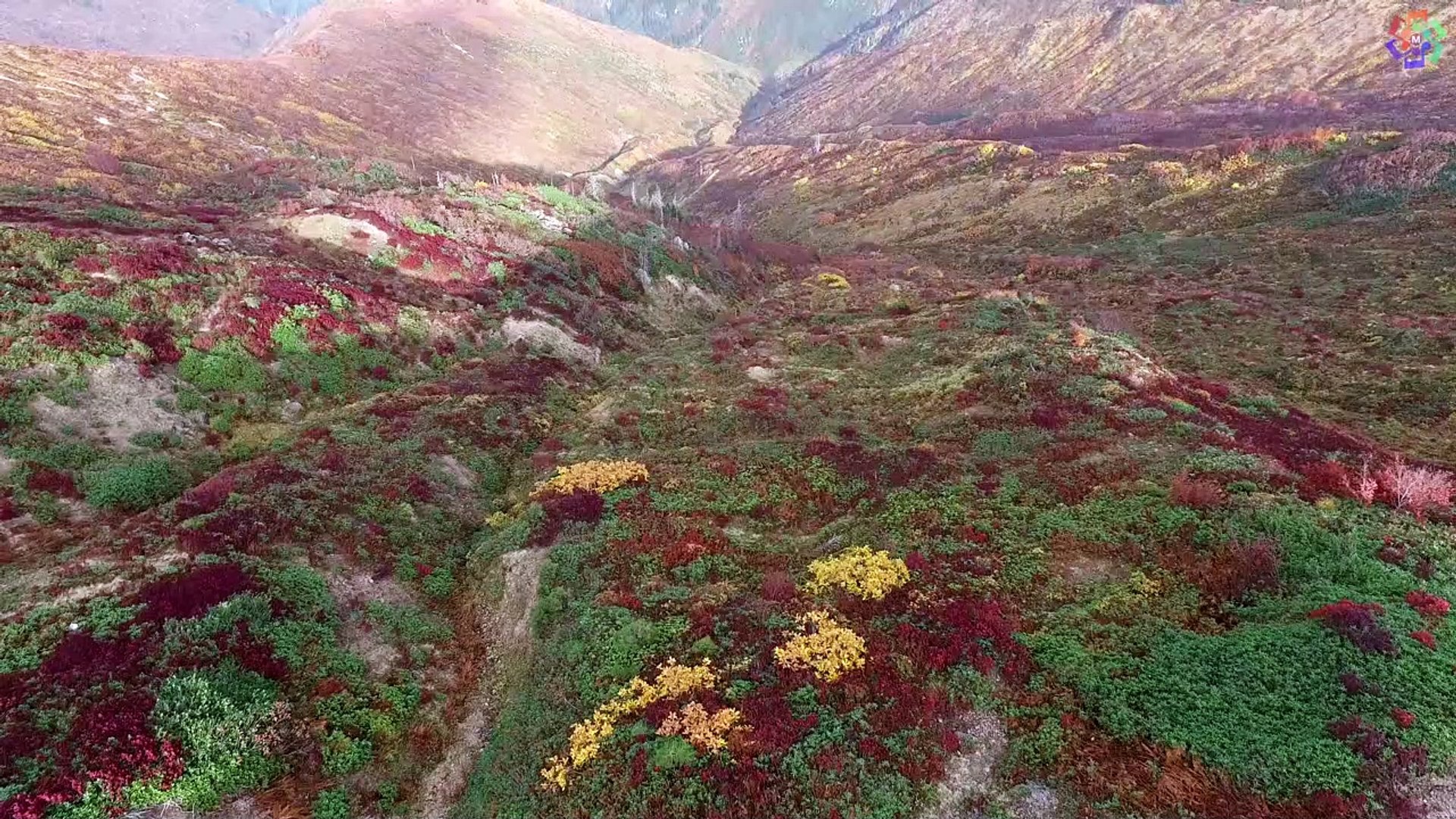 ⁣Do You Remember? | Video 4K | New Song | Best English Song 2019 – 2020