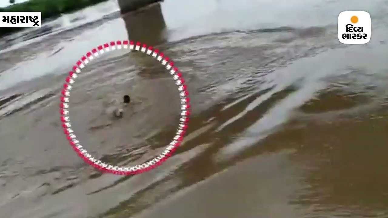 TIKTOKનો વીડિયો બનાવવા યુવકે જીવના જોખમે 35-40...