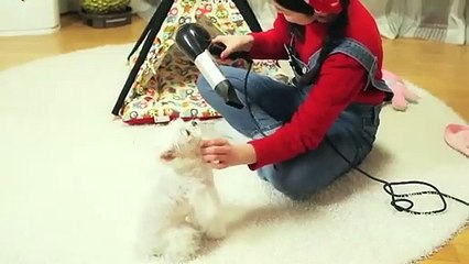 양구출장안마 -후불1ØØ%ョØ1ØZ7467Z4367｛카톡KP93｝ 양구전지역출장마사지 양구오피걸 양구출장안마 양구출장마사지 양구출장안마 양구출장콜걸샵안마 양구출장아로마 양구출장㍌≹⾲