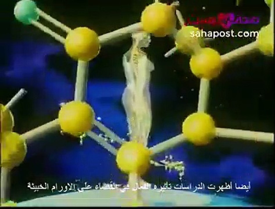 أفضل فيلم وثائقي مختصر عن فطر الجانوديرما وفوائده الصحية الكبيرة ( مترجم الى العربية )