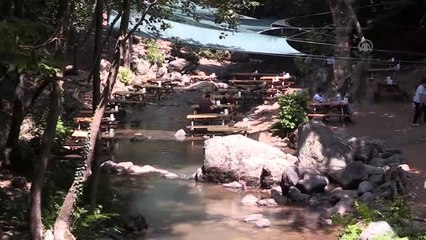 Kent Ormanı'na turist ilgisi