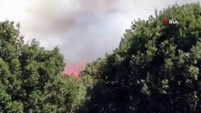 Pendik Göçbeyli köyünde ormanlık alanda yangın çıktı. İtfaiyenin yangına müdahalesi sürüyor.