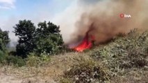 Pendik Göçbeyli köyünde ormanlık alanda yangın çıktı. İtfaiyenin yangına müdahalesi sürüyor.