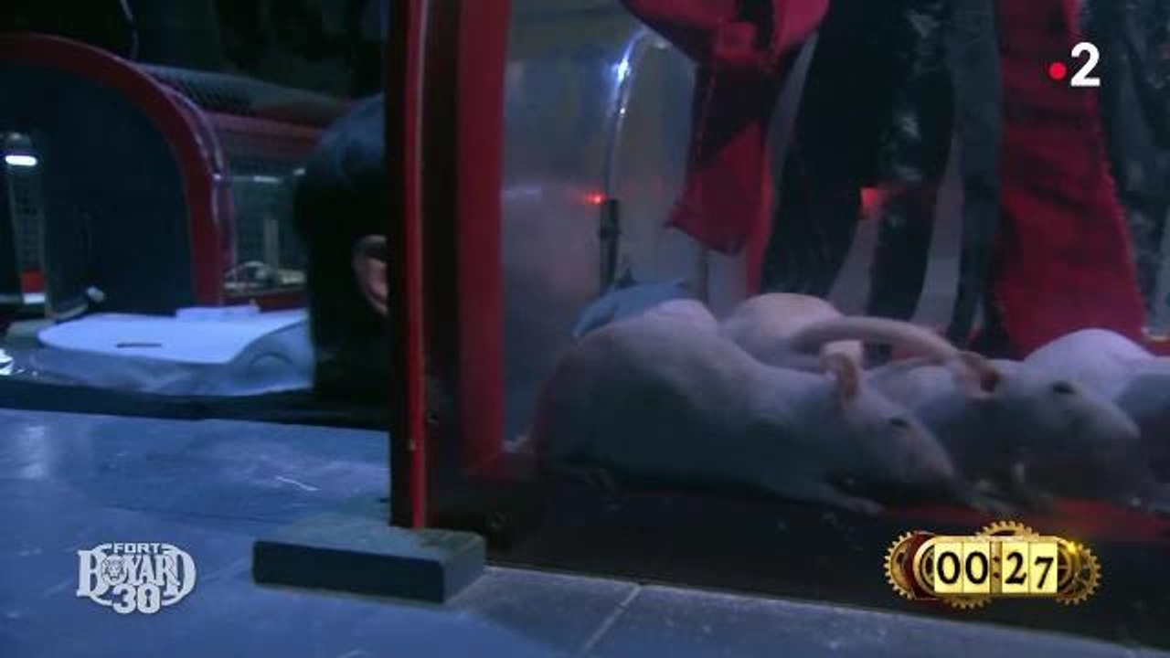 Laurent Kerusoré terrifié par des rats dans Fort Boyard