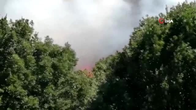 Pendik Göçbeyli köyünde ormanlık alanda yangın çıktı. İtfaiyenin yangına müdahalesi sürüyor.