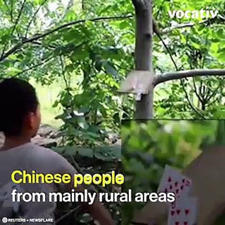 These Chinese Fruit Ninjas Are Showing Off Their Impressive Skill With Samurai Like Precision