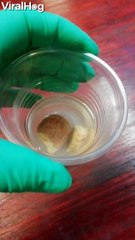 Rare Ooshie Becomes Angel Wings for Charity