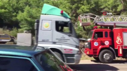 Antalya'da orman yangını: 10 hektar Kızılçam zarar gördü