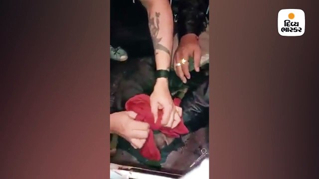 પાઈપમાં કૂતરીનું માથું ફસાઈ ગયું હતું, આવી હાલતમાં પણ ગલૂડિયાંને દૂધ પીવડાવતી હતી