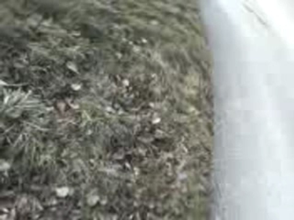 Skate 1