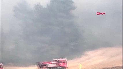 BALIKESİR Savaştepe'de orman yangını