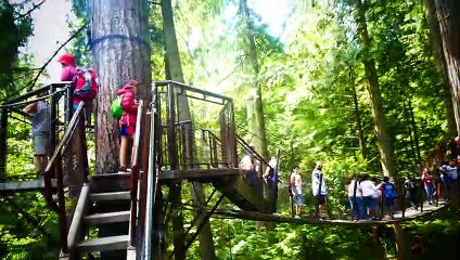 Vancouver-Aug-2019-0010