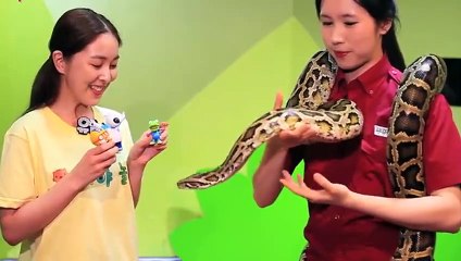 상록출장안마 -후불1ØØ%ョØ7ØM7575M0054｛카톡USA16｝ 상록전지역출장마사지 상록오피걸 상록출장안마 상록출장마사지 상록출장안마 상록출장콜걸샵안마 상록출장아로마상록출장샵∫⻟∍