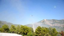 Kumluca'daki orman yangını (2)
