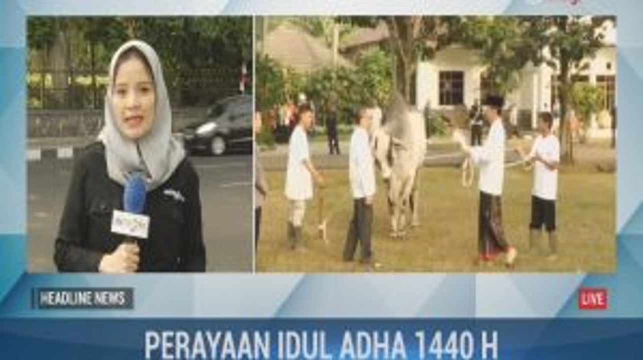 Jokowi Serahkan Kurban Sapi 1 Ton ke Kebun Raya Bogor