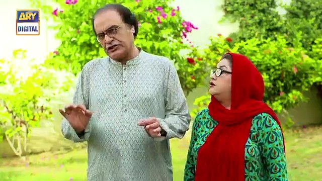 Bulbulay Se 2 Ep 12 11th August 2019 ARY Digital Drama