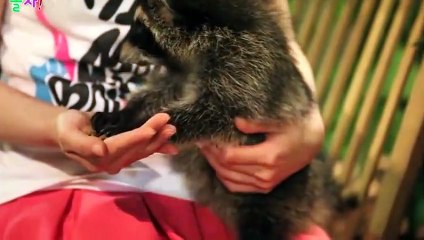 경산출장안마 -후불1ØØ%ョOiOV2671V8135｛카톡ZHF526｝ 경산전지역출장마사지 경산오피걸 경산출장안마 경산출장마사지 경산출장안마 경산출장콜걸샵안마 경산출장아로마경산출장샵≿∽◛