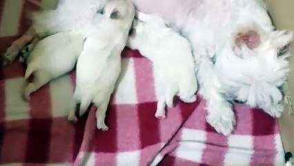 창녕출장안마 -후불1ØØ%ョOiON6622N4421｛카톡EM85｝ 창녕전지역출장마사지 창녕오피걸 창녕출장안마 창녕출장마사지 창녕출장안마  창녕출장콜걸샵안마 창녕출장아로마⾬わ㌱ 창녕출장샵