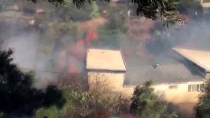 Marmara Adası'nda orman yangını (1)