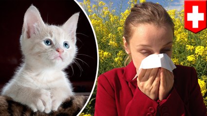 Scientists develop vaccine to help people with cat allergies