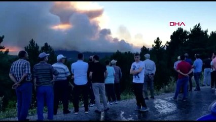 KÜTAHYA Tavşanlı'da orman yangını -3