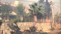 Marmara Adası'nda orman yangını - Alevler evlerin bahçelerine yaklaştı (5)