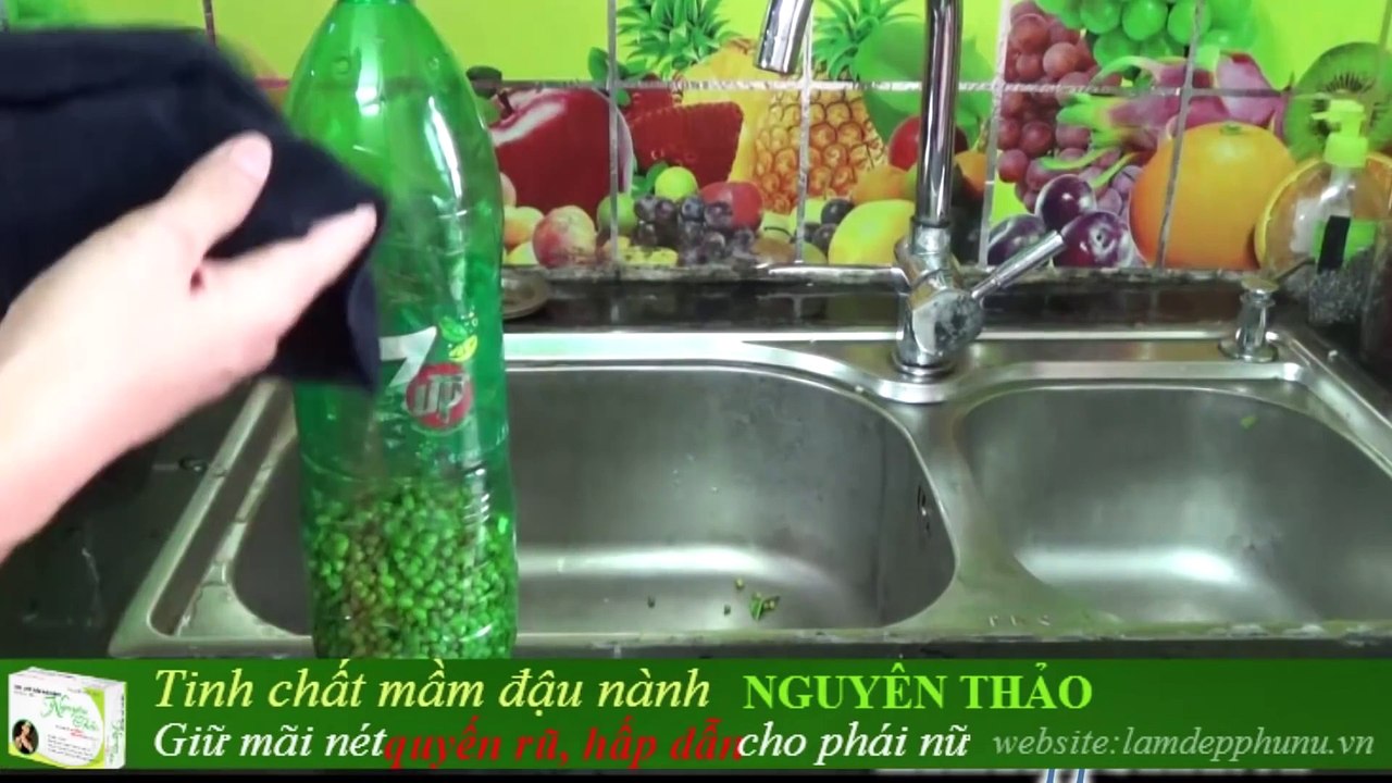 Cách làm GIÁ ĐỖ bằng Chai nhựa