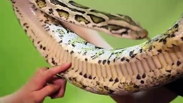 순천출장안마 -후불1ØØ%ョOiOW2671W8135｛카톡AQ52｝ 순천전지역출장마사지 순천오피걸 순천출장안마 순천출장마사지 순천출장안마 순천출장콜걸샵안마 순천출장아로마◨ば≬ 순천출장샵