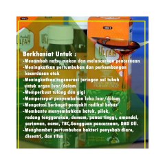 WA +62 812-1347-6978 Madu Herbal Untuk Anak Kabupaten Kapuas Hulu Madu Ulfah 