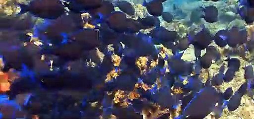 선릉목마 ↖김사랑Ø1Øn2393v1922 대치 대치동 은은하고향기 후회없는결정이