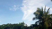 Clear sky and trees in the philippines