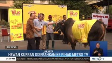PT Bintang Toedjoe Serahkan Sapi Kurban Seberat 1 Ton ke Metro TV