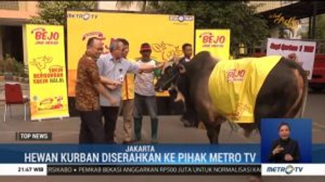 PT Bintang Toedjoe Serahkan Sapi Kurban Seberat 1 Ton ke Metro TV