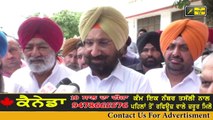 ਭਾਜਪਾ ਲੀਡਰਾਂ ਦੀ ਹੋ ਰਹੀ ਥੂ-ਥੂ BJP leaders insulted after they commented on Kashmir