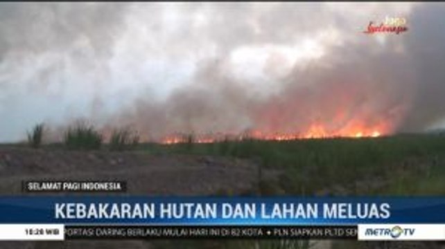 Suara Anda: Kebakaran Hutan dan Lahan Meluas