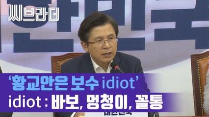 황교안 대표 ‘문재인 정부에 최후통첩’에 민주당 ‘황교안 보수꼴통(idiot)’ [C브라더]