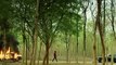 Ranarangam Sound Cut Trailer _ Sharwanand, Kajal Aggarwal, Kalyani Priyadarshan