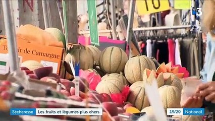 Les prix des fruits et des légumes flambent cet été sur les étals des marchés - Une hausse de 6,7 % selon l'INSEE - VIDEO