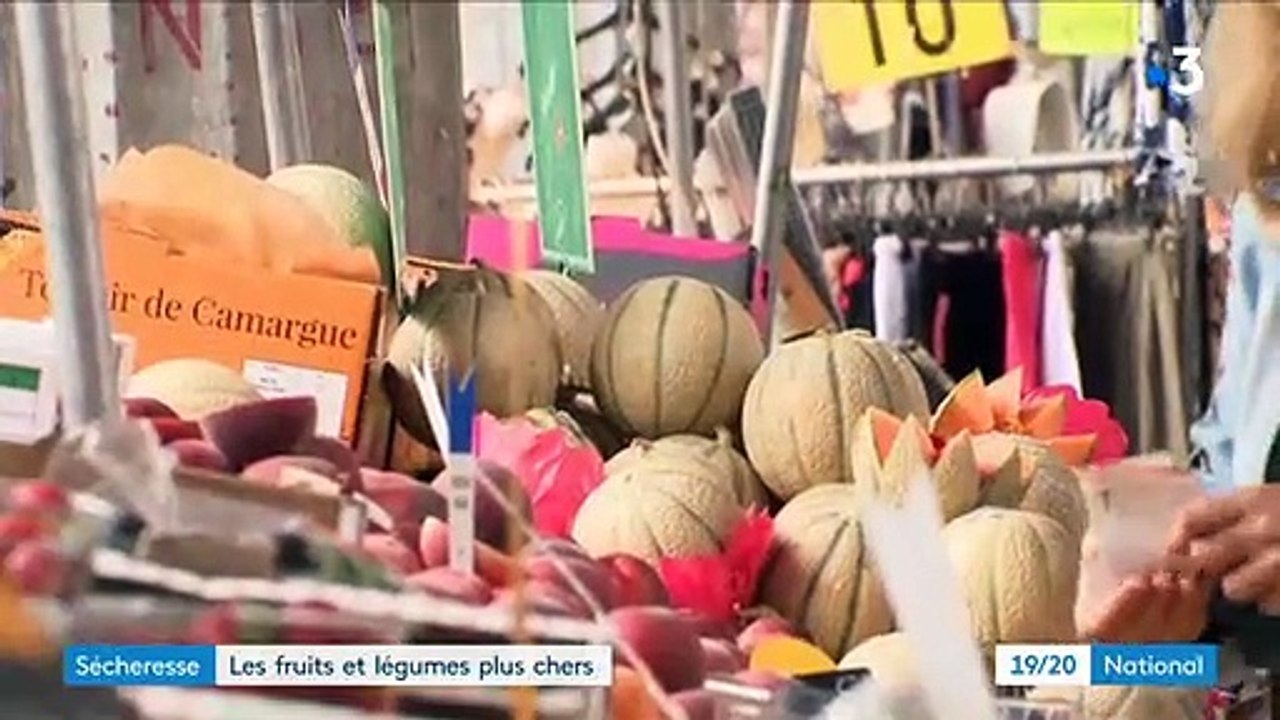 Les prix des fruits et des légumes flambent cet été sur les étals des marchés - Une hausse de 6,7 % selon l'INSEE - VIDEO