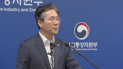 정부, 화이트 리스트에서 日 제외 결정 / YTN