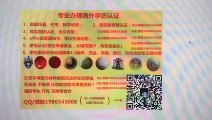 办加拿大文凭|MSVU毕业证|QQ/微信1986543008可以办理圣文森山大学毕业证,成绩单|加拿大学历认证,大使馆认证Mount Saint Vincent University diploma